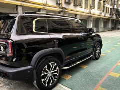 Haval Big Dog 1.5T DCT two-wheel drive Border Collie-Wangcai Edition - фото 5