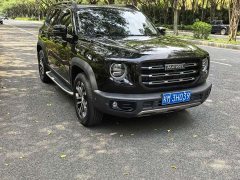 Haval Big Dog 1.5T DCT two-wheel drive Border Collie-Wangcai Edition - фото 8