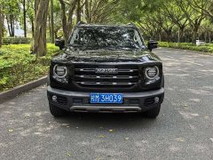 Haval Big Dog 1.5T DCT two-wheel drive Border Collie-Wangcai Edition - фото 9