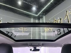 Lexus Tanyue 280TSI two-wheel drive luxury smart connected version - фото 17