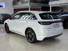 BYD Shangjie H5 extended range Max - фото 16