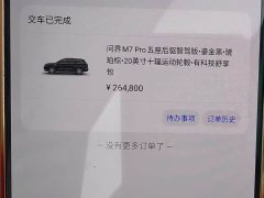 AITO Wenjie M7 2024 1.5T Smart Driving Rear Drive Pro Version 5 Seats - фото 15