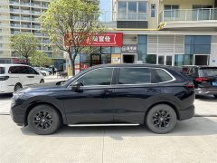 Lexus Haoying 2023 240TURBO two-wheel drive luxury version 5 seats - фото 3