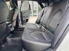 Lexus Asia Dragon 2.0L Deluxe Edition - фото 10