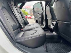 Lexus Asia Dragon 2.0L Deluxe Edition - фото 11