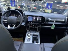 Haval Big Dog 1.5T DCT Border Collie Edition - фото 14