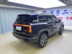 Haval Big Dog 1.5T DCT Border Collie Edition - фото 17
