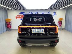 Haval Big Dog 1.5T DCT Border Collie Edition - фото 18