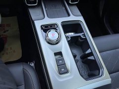 Haval Big Dog 1.5T DCT Border Collie Edition - фото 7