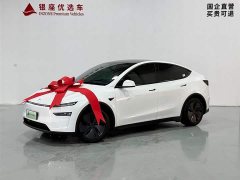 Tesla Model Y rear-wheel drive version - фото 3