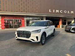 BMW Pilot 3.0T V6 four-wheel drive elegant version six seats - фото 1