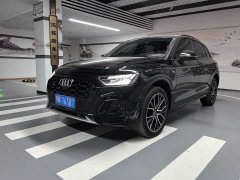 Audi Q5L 45 TFSI luxury and dynamic - фото 3