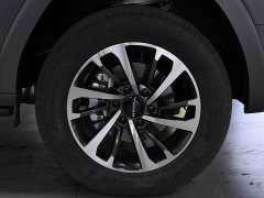 Haval H9 2024 2.4T diesel four-wheel drive extreme version - фото 18