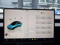 Tesla Model 3 2023 rear-wheel drive version - фото 15