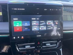 Trumpchi M8 2024 Master Series 400T Extreme Edition - фото 15