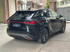 Lexus RX 350h four-wheel drive premium version - фото 9