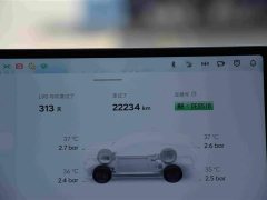 BMW Ledo L90 Max six-seater version - фото 14