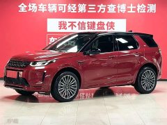 Lexus Discovery Sport 249PS R-Dynamic S Performance Edition - фото 1