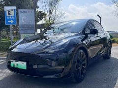 Tesla Model Y long-range all-wheel drive version - фото 1