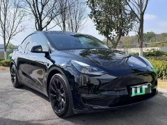 Tesla Model Y long-range all-wheel drive version - фото 3