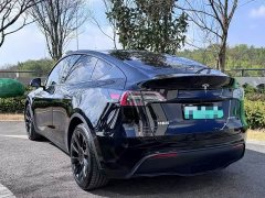 Tesla Model Y long-range all-wheel drive version - фото 7