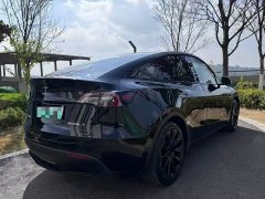 Tesla Model Y long-range all-wheel drive version - фото 9