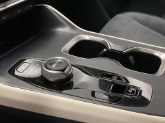 Lexus RZ 450e four-wheel drive vertical collar version - фото 19