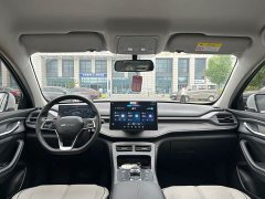 BYD Destroyer 05 Honor Edition DM-i 120KM Premium - фото 10