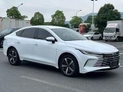 BYD Destroyer 05 Honor Edition DM-i 120KM Premium - фото 2