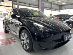 Tesla Model Y 2022 rear-wheel drive version - фото 3