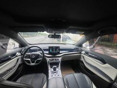 BYD Qin PLUS Honor Edition DM-i 55KM Leading Type - фото 10