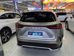 Lexus NX 260 front-wheel drive Chuangchi version - фото 15