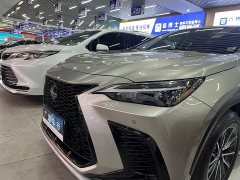 Lexus NX 260 front-wheel drive Chuangchi version - фото 5