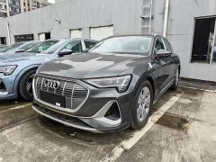 Audi e-tron 2021 50 quattro luxury - фото 1