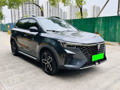 BMW Roewe RX5 New Energy 2021 ePLUS Guochao Ronlin Deluxe Edition - фото 3