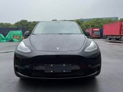Tesla Model Y standard range rear-wheel drive version - фото 1