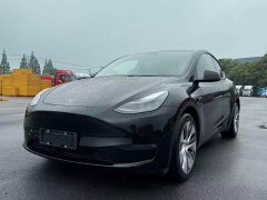 Tesla Model Y standard range rear-wheel drive version - фото 6