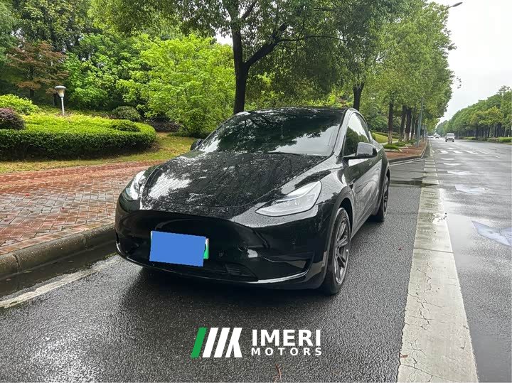Tesla Model Y rear-wheel drive version - автомобиль из Китая