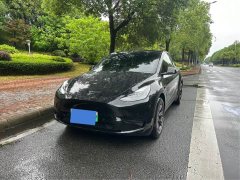 Tesla Model Y rear-wheel drive version - фото 1