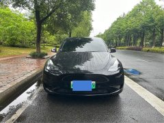 Tesla Model Y rear-wheel drive version - фото 2