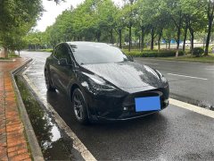 Tesla Model Y rear-wheel drive version - фото 3