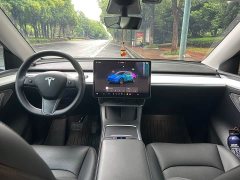 Tesla Model Y rear-wheel drive version - фото 8