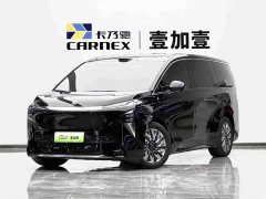 Buick Zhijing Family Luxury Edition - фото 1