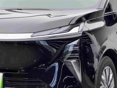 Buick Zhijing Family Luxury Edition - фото 3