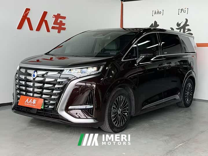 Denza D9 2024 DM-i 980 four-wheel drive premium - автомобиль из Китая