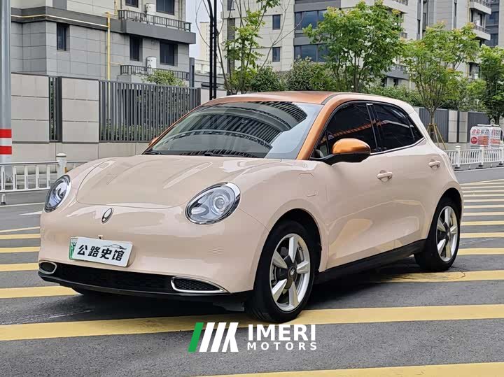 ORA Good Cat 400km Standard Range Deluxe LFP - автомобиль из Китая