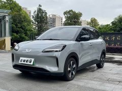 Wuling Bingo PLUS 2024 330km five-seater version - фото 1