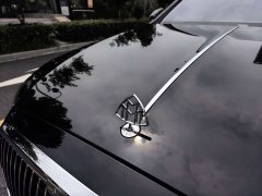 Maybach S-Class S 480 4MATIC - фото 16