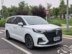 Lexus Roewe iMAX8 400TGI Supreme Series Honor Edition - фото 2