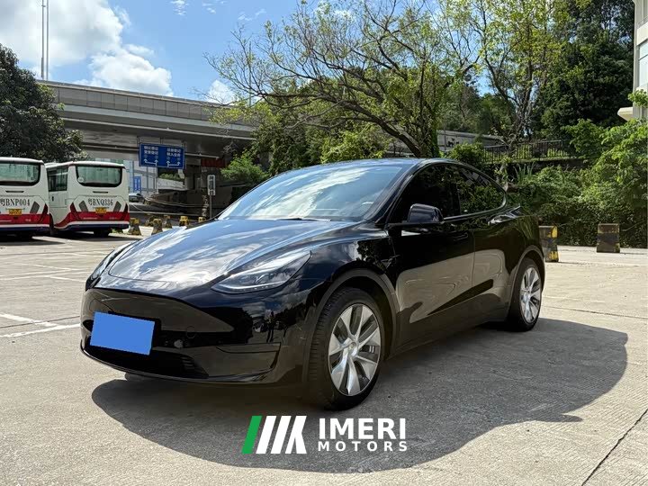Tesla Model Y rear-wheel drive version - автомобиль из Китая